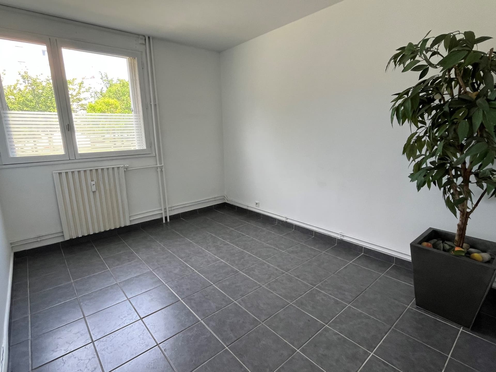 T4 à fort potentiel !