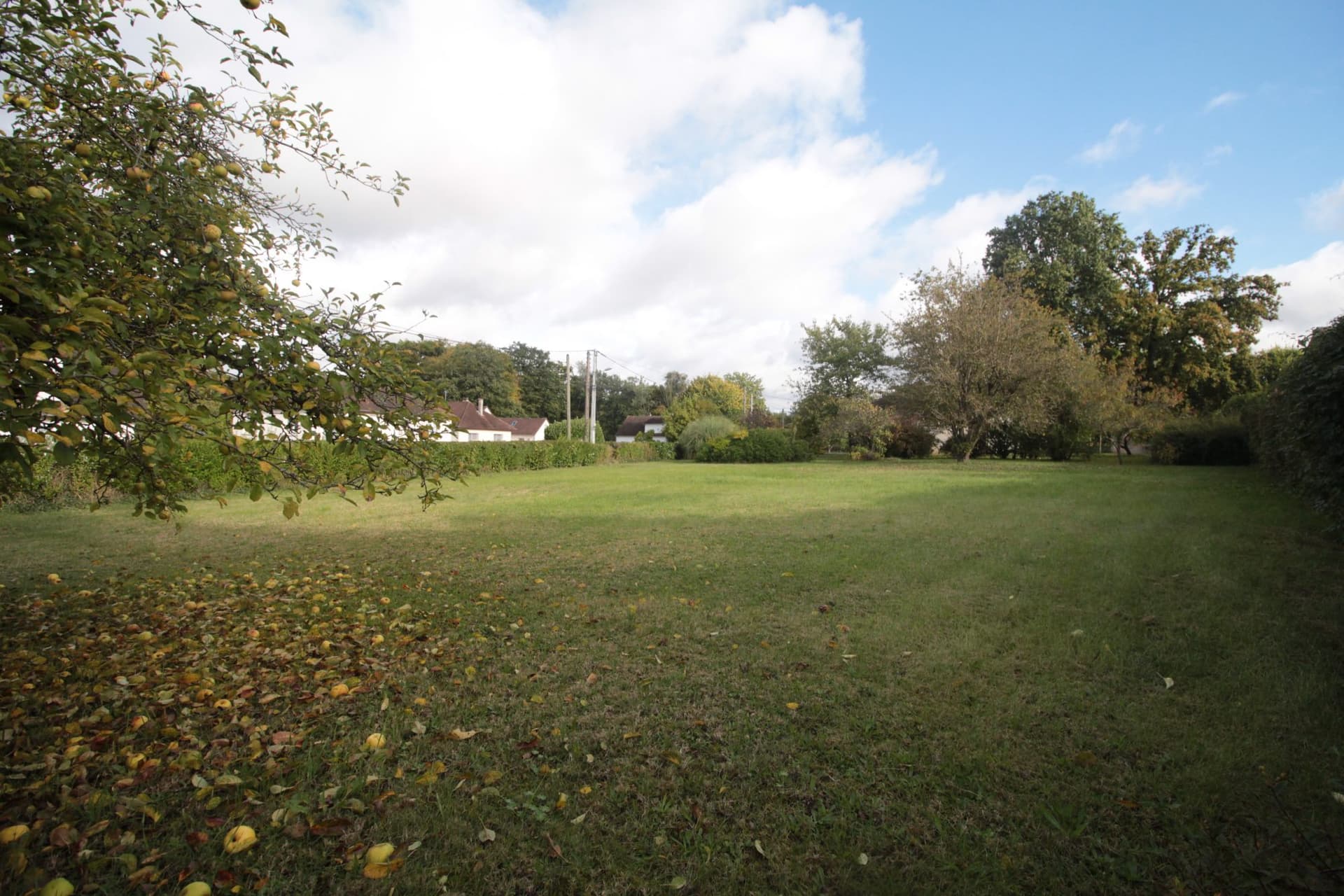 Terrain Constructible